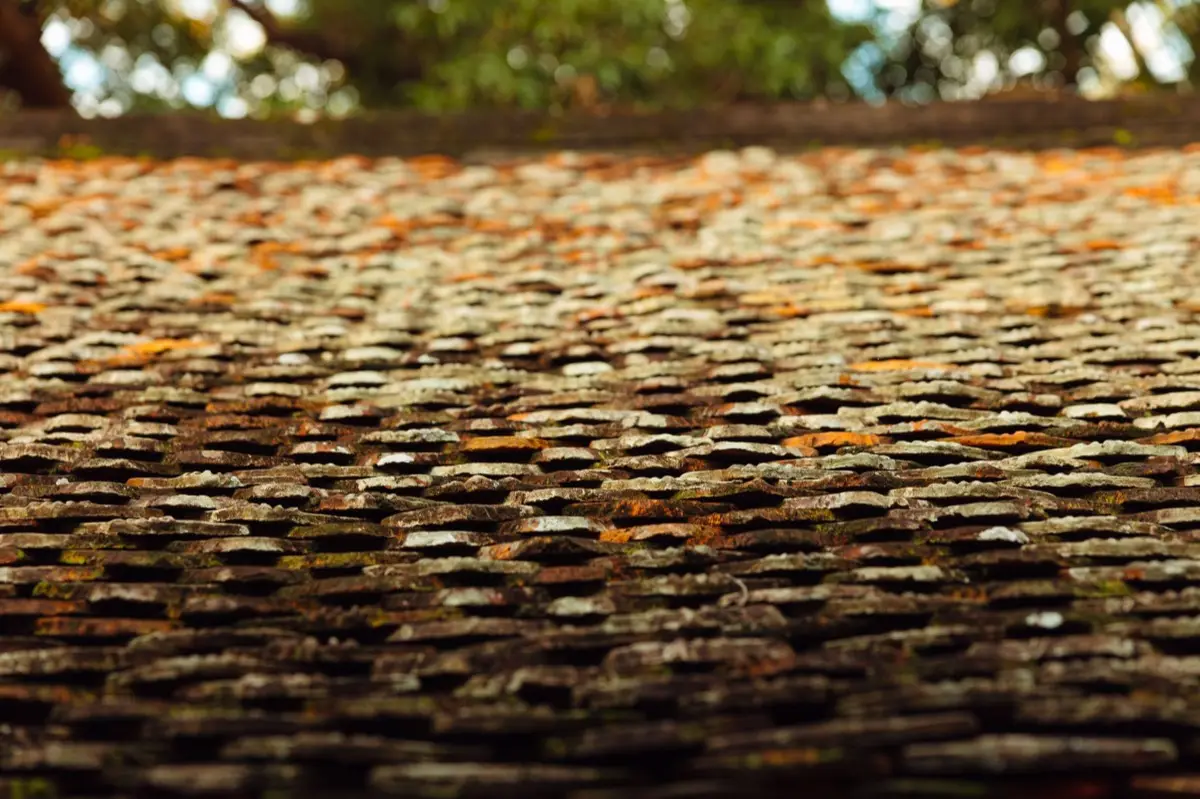 Aging shingle roof with moss growth and granule loss in Blue Springs, MO